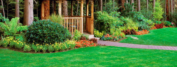 Landscaping & Sprinklers, Henderson, NV 